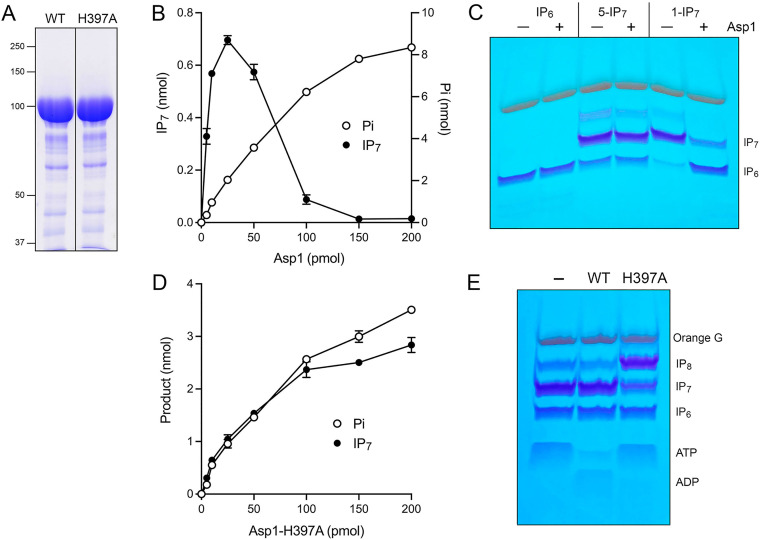 FIG 10