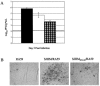 FIG. 6.