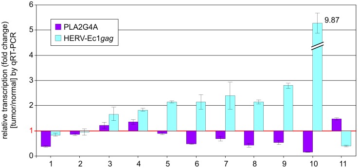 Figure 6