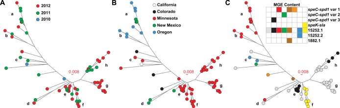 FIG 1