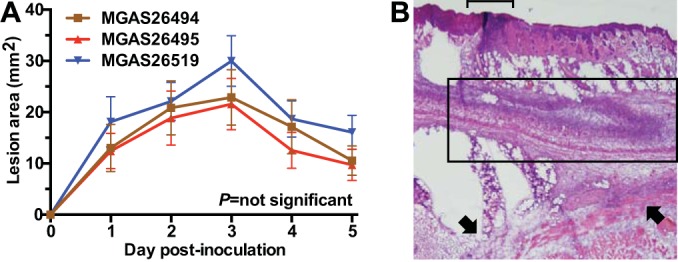 FIG 4