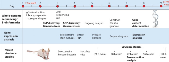 FIG 5