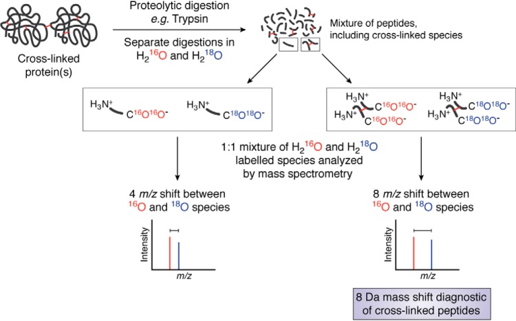 Figure 11.