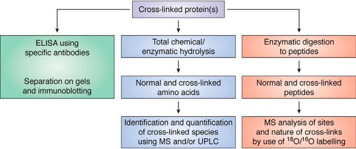 Figure 10.