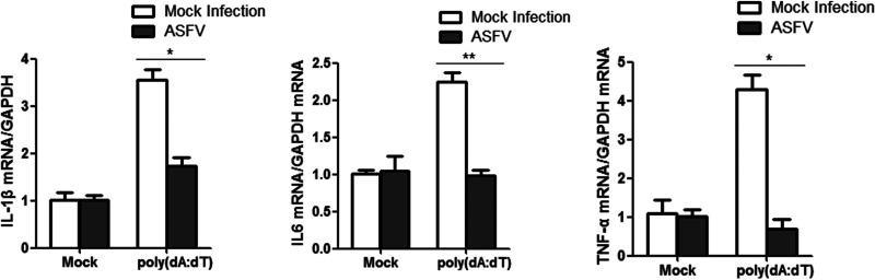 FIG 3