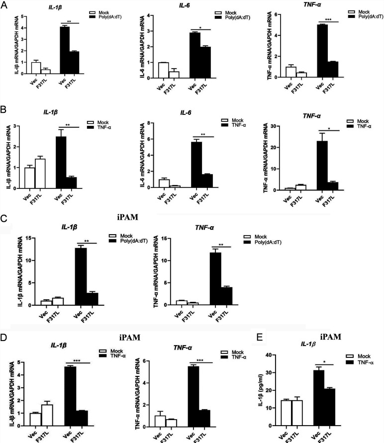 FIG 2