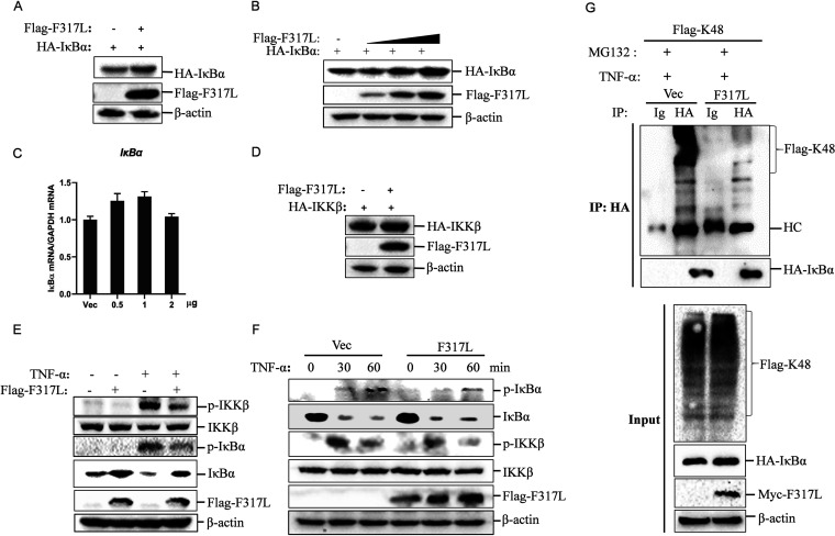 FIG 6