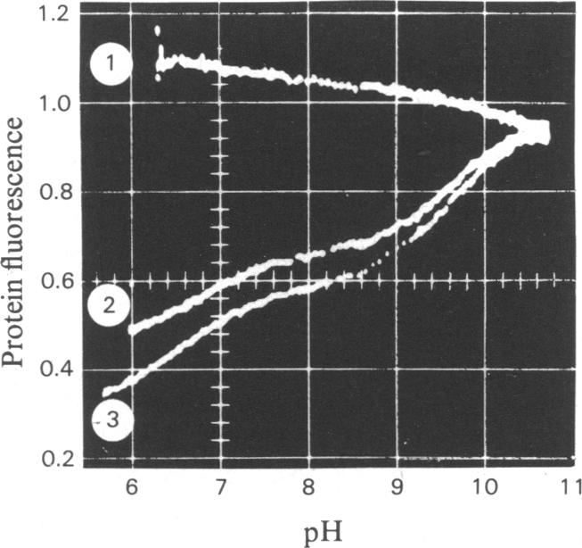 Fig. 11.