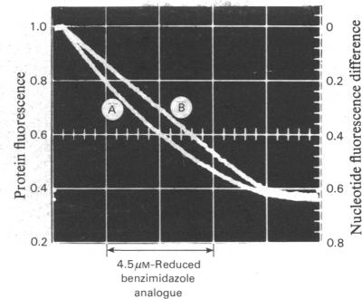 Fig. 9.