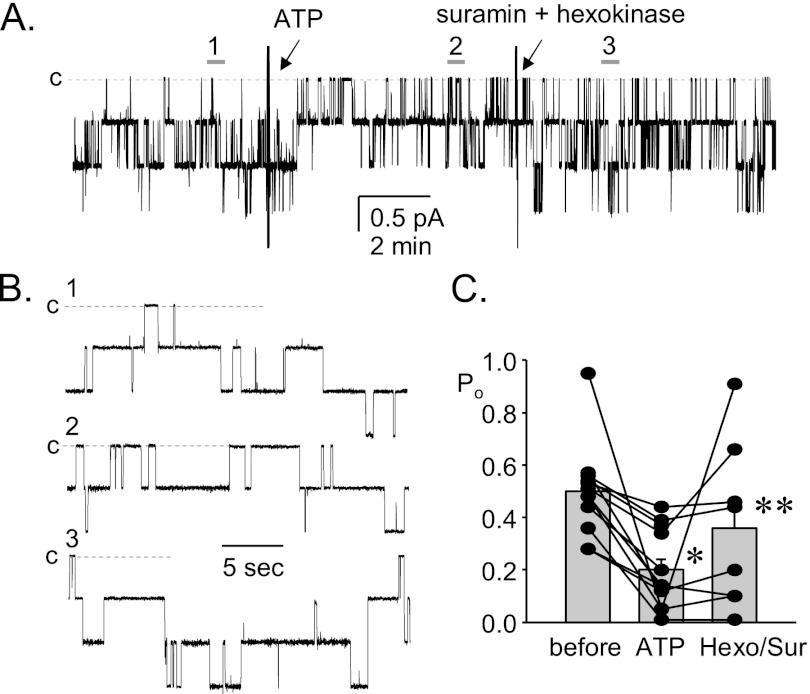 FIGURE 4.