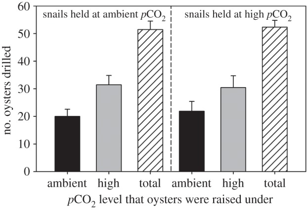 Figure 3.