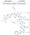 Fig. 31