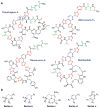 Fig. 12