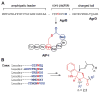 Fig. 30