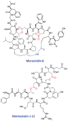 Fig. 18