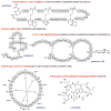 Fig. 34