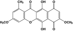 Fig. 1