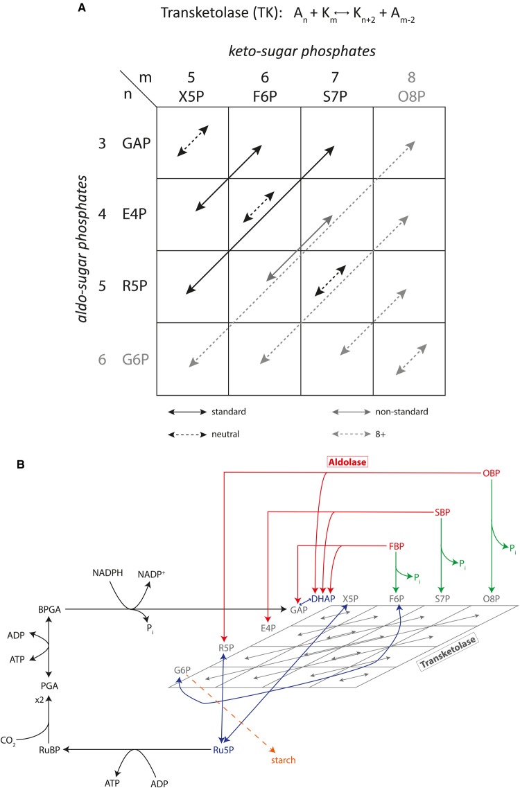 Figure 2.