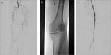 Figure 3. a–c