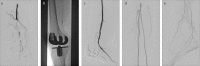 Figure 2. a–e
