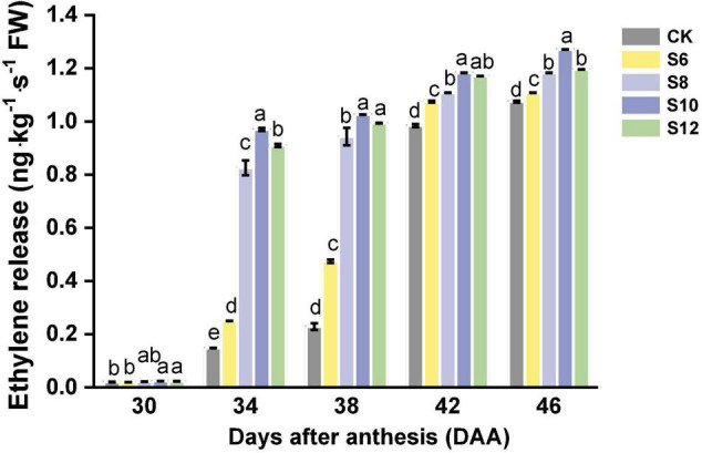 FIGURE 4