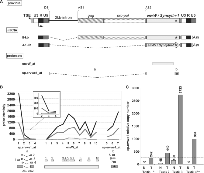 Figure 3.