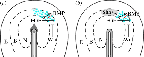 Figure 3.