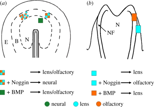 Figure 2.