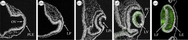 Figure 1.