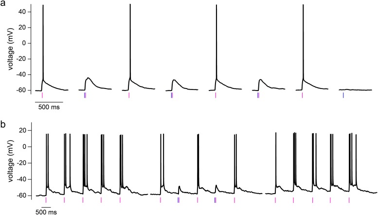 Fig 6