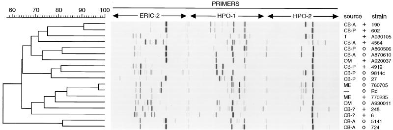 FIG. 9