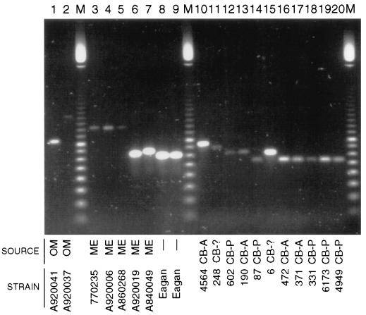 FIG. 7