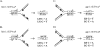 FIG. 2.