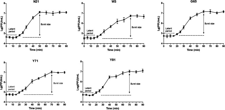 Fig. 2