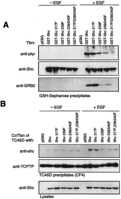 FIG. 10