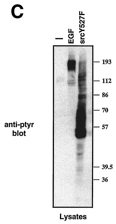 FIG. 8