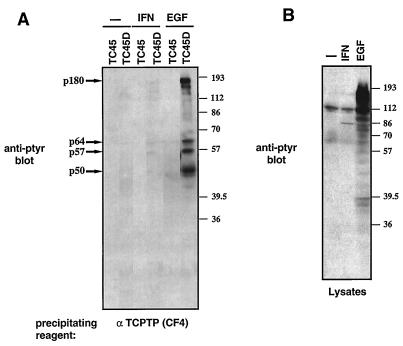 FIG. 6