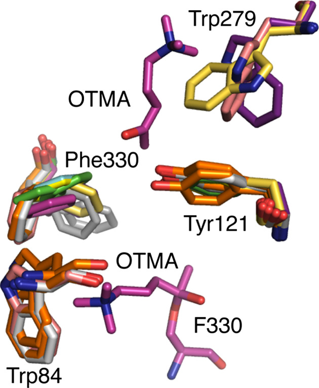 Fig. 3