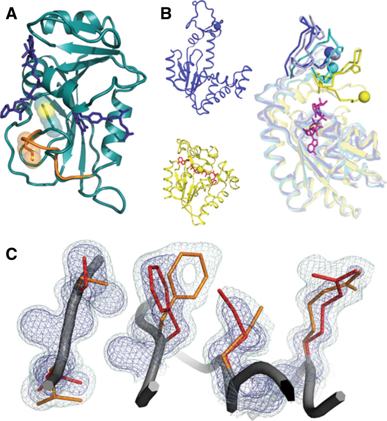 Fig. 1