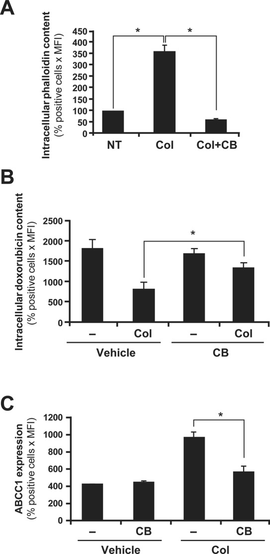 FIGURE 9: