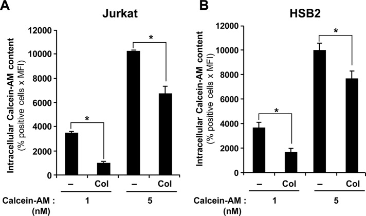 FIGURE 6: