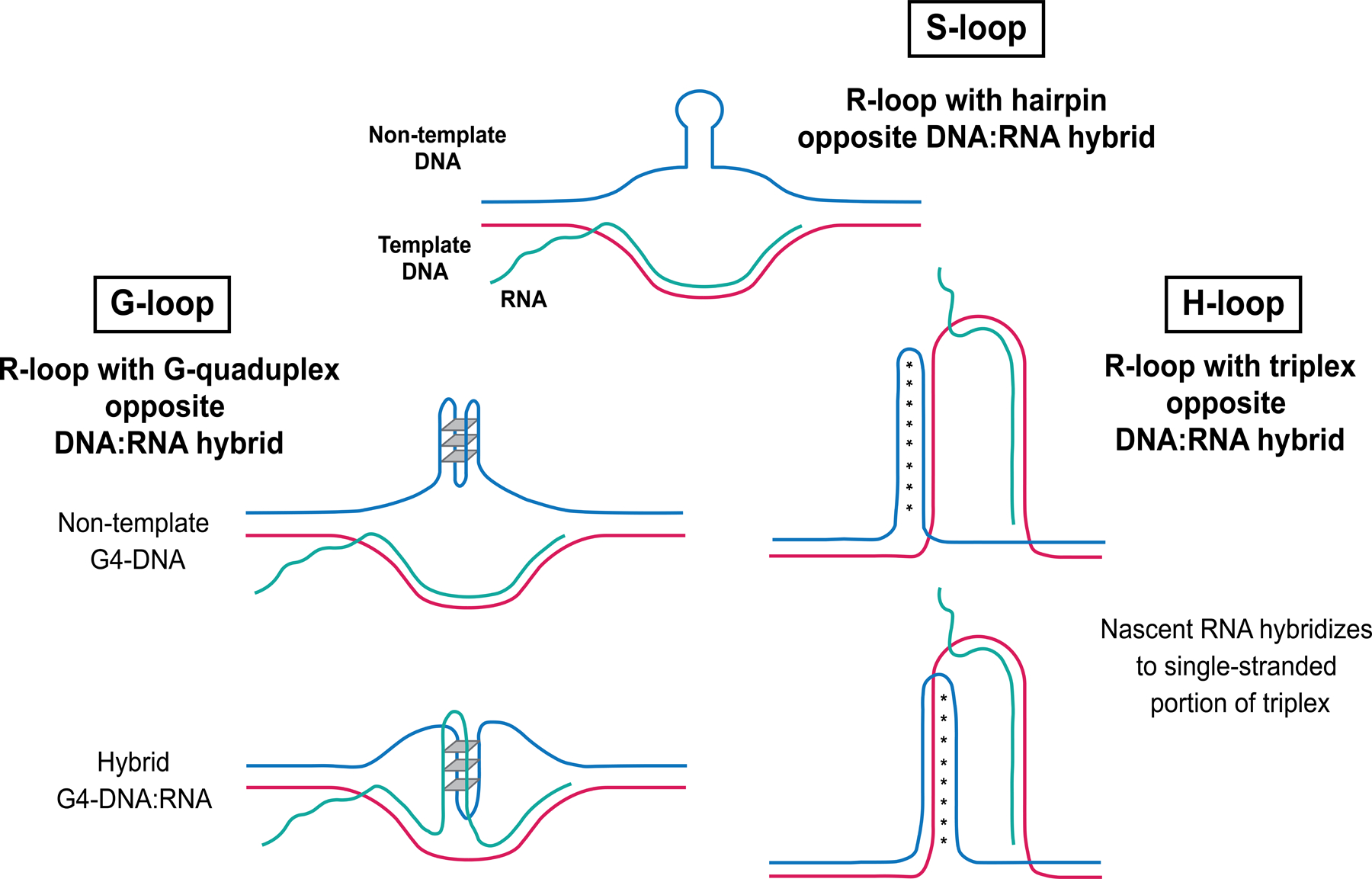 Figure 2.