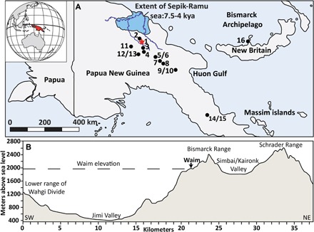 Fig. 1