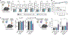 Extended Data Fig. 4 |