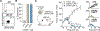 Extended Data Fig. 7 |