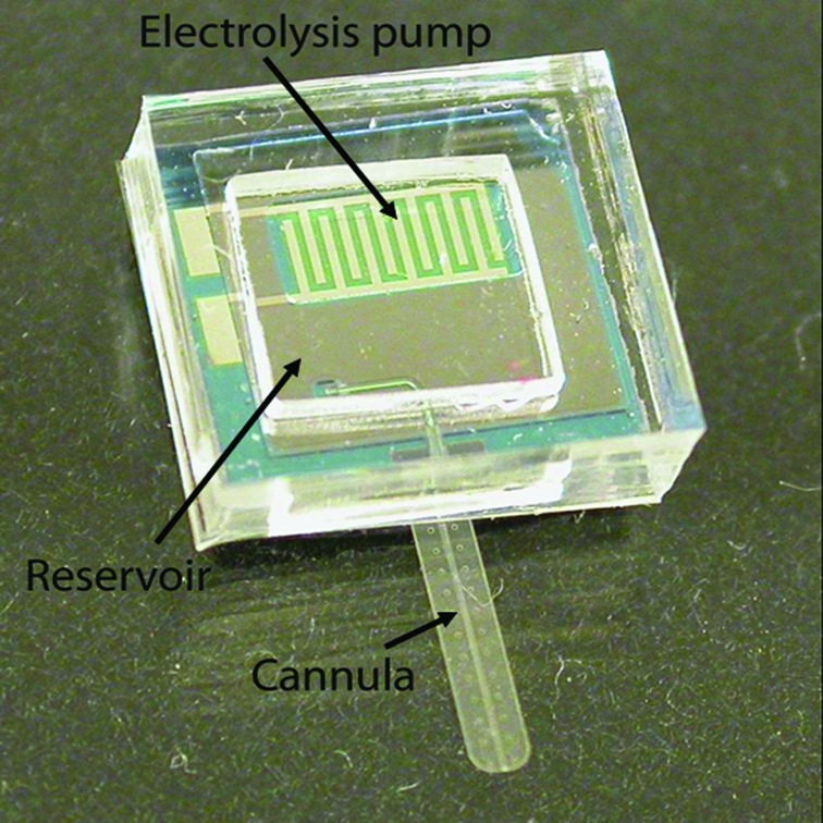 FIGURE 5