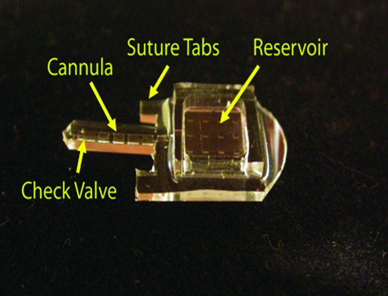 FIGURE 3