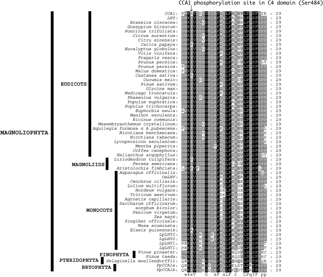 Figure 7.