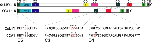 Figure 6.