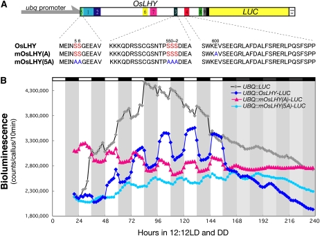 Figure 9.